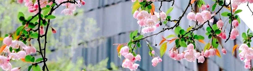 ky体育教师指导本科...